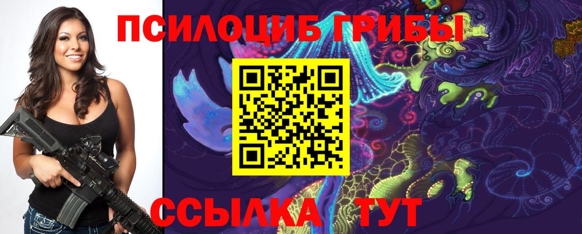 Камышин  Галлюциногенные грибы Magic Shrooms  Вход с VPN 