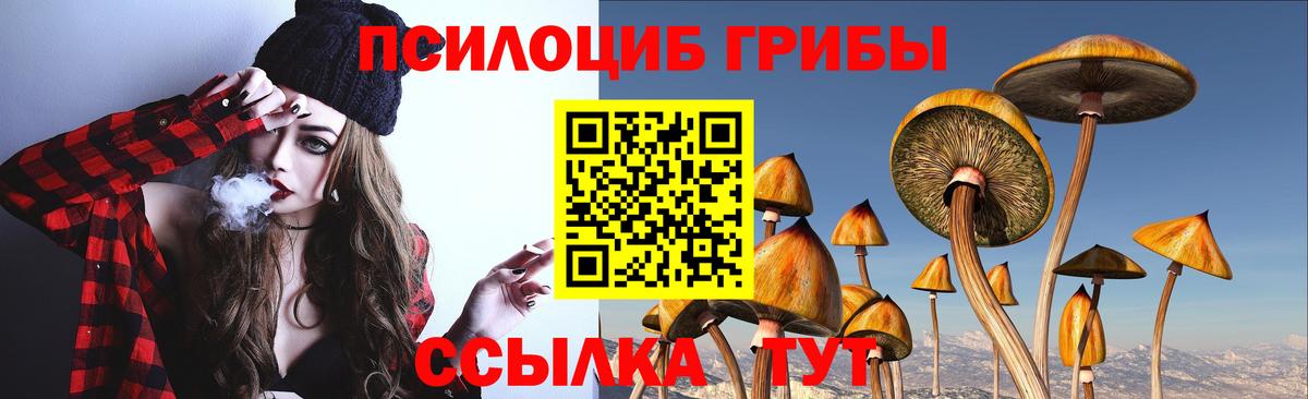 Псилоцибиновые грибы MAGIC MUSHROOMS Камышин