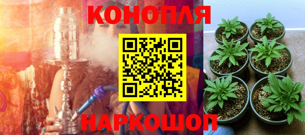 Бошки Шишки AK-47  Вход с VPN  Бошки марихуана марихуана  Камышин  Бошки марихуана Amnesia  Канабис индика 